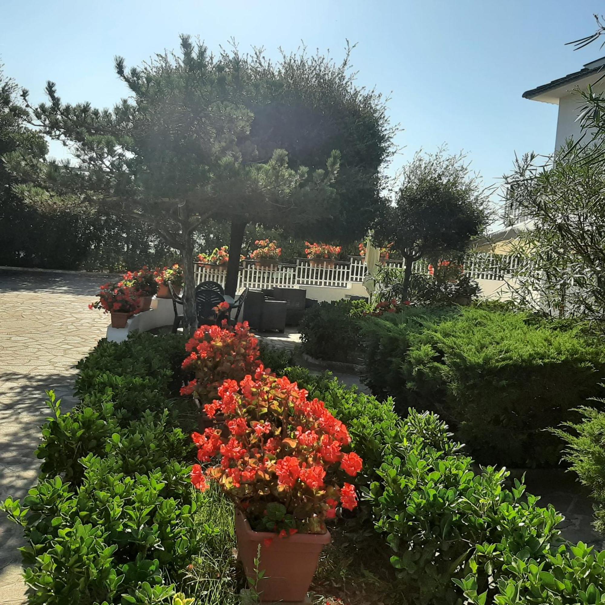 Appartamento In Villa Valentini, Fronte Mare, Giardino E Parcheggio Privato, Wifi, Dotato Di Tutti I Confort, Nel Golfo Di Gaeta Minturno Exteriér fotografie