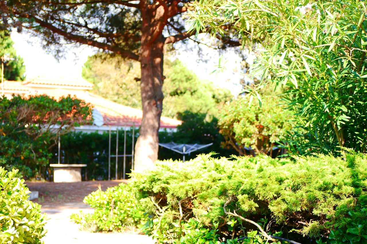 Appartamento In Villa Valentini, Fronte Mare, Giardino E Parcheggio Privato, Wifi, Dotato Di Tutti I Confort, Nel Golfo Di Gaeta Minturno Exteriér fotografie